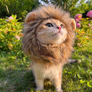 曾经帅爆银河系