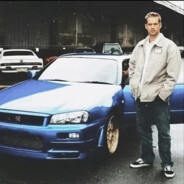 来自南美洲的牛战士