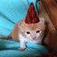 just a little kitty (so normal)