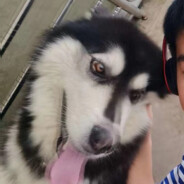 撕破伤口被人砍