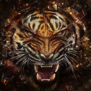 ☯ⁿ√ナ - steam id 76561197965684948