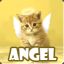 ღANGEL346ღ