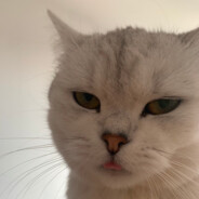 prestyzhnyy vinochok2013