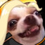 boodog_09