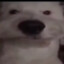 &#039;.&#039;
