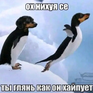 tcd - steam id 76561199521395712