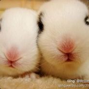 多轨透