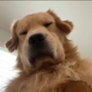 她说带了不算给