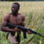 Guard of Plantation