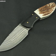 看到请叫我去写剧本