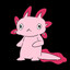 JKaxolotl