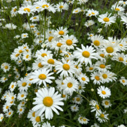 你这人物什么磨损？