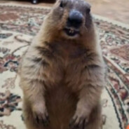 I prefer to smell grass