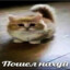 отче назес