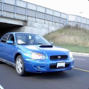 Myndranius - steam id 76561197970323896