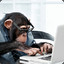 monkey on keyboard