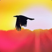 Ravenseed - steam id 76561197970989818