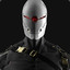 Gray Fox