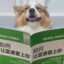 碧粉茶愁