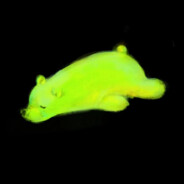 冰淇淋抹茶大圣代