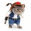 sheriff Whiskers