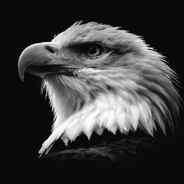 S3MM0 - steam id 76561199262119664