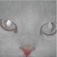 不要被坏女人骗