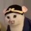 JUSTHIS
