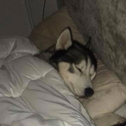 你算哪块小饼干？