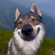 Lifox
