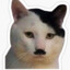 Democratic Kitler