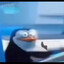 saymyname