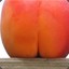 TurnipTheBeet