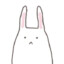 加菲兔