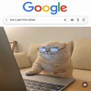 schadee