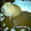 отчим узбека