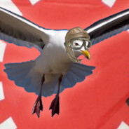 Kamikaze Seagull