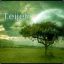 Teije