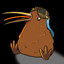 AviKiwi