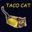 TACOCAT