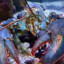 Lobster