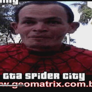 MIRANHA DA GEOMATRIX - SKINS