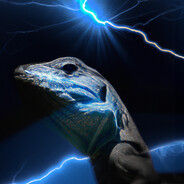 Lizard