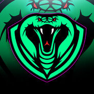 iBekkk - steam id 76561199637593360