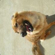 Gpizzle - steam id 76561197961858866