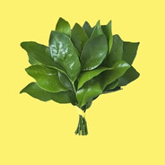 传说飞翔大手子说