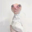 jo_0p@
