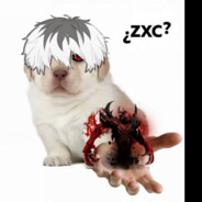 ZXC DOG