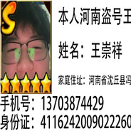 河南盗号王
