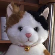 只會挖東西被打就逃跑